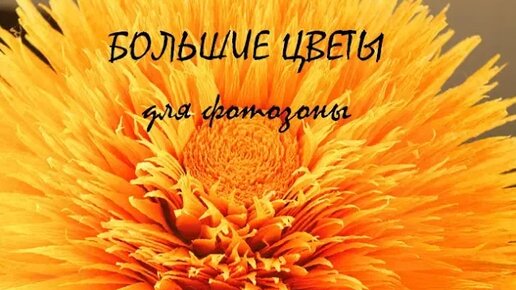 Как сделать цветы из бумаги: 16 мастер-классов по созданию неувядающей красоты своими руками