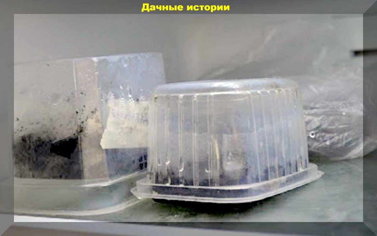 https://vk.com/photo-159774511_457245886