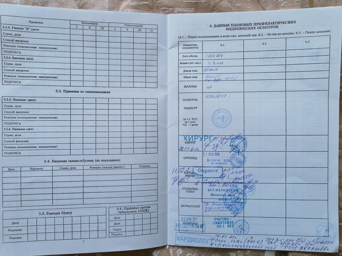 Психиатр (психолог) перед детским садом в 2 года. Что проверяет, с чем дочь  не справилась. | Растём вместе с детьми. Учу, играю, развиваю. 🤗 | Дзен