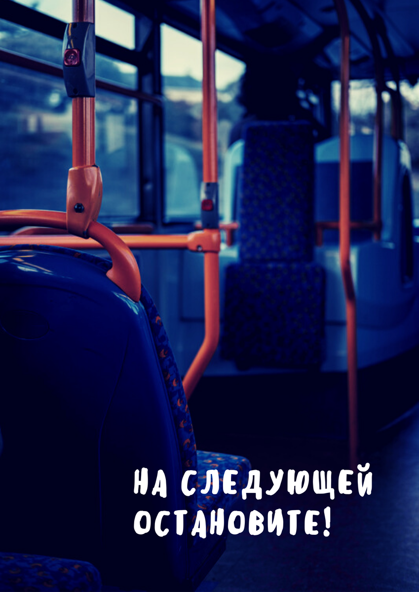 изображение создано на сайте "Canva.com"
