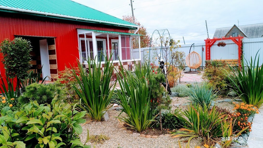 Фото автора.