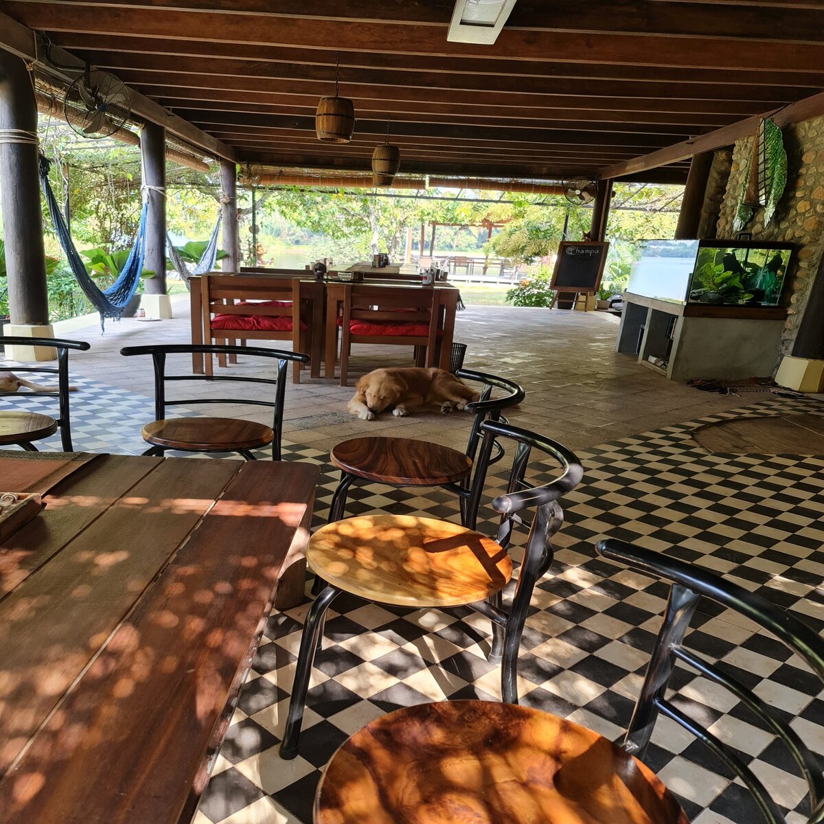 Холл Chamoa Lodge