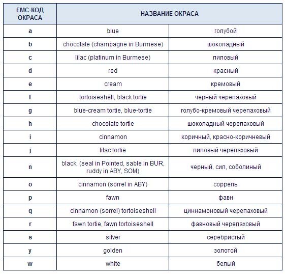 Окрасы кошек таблица. Таблица окрасов мэйнкунов. Коды бежевых цветов. Окрас мейн кунов таблица. Код окраса.