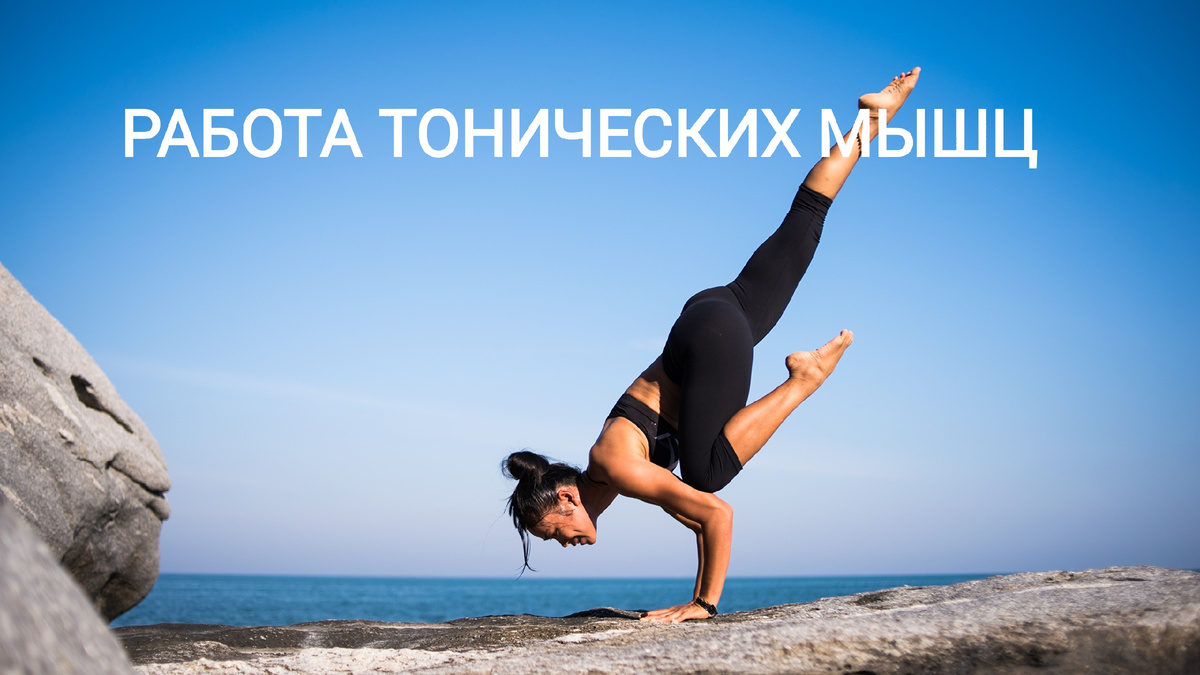 Тонические мышцы отвечают за поддержание нашей позы