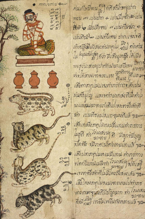 Британская библиотека, Ор. 4830, лист 6, на котором показана страница гороскопа для людей, рожденных в год тигра.