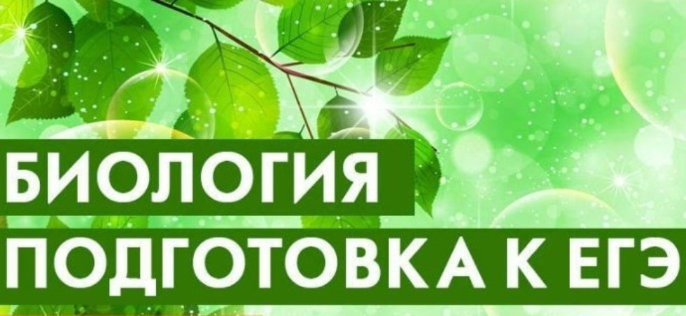 Биология русский. Подготовка к ЕГЭ по биологии. Биология (ЕГЭ). Подготовка к ЕГЭ по биологии 2020. ЕГЭ биология надпись