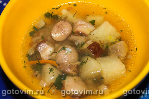 грибной суп из маслят. грибы маслята суп. грибной суп из маслят. грибы маслята суп. грибы маслята суп.