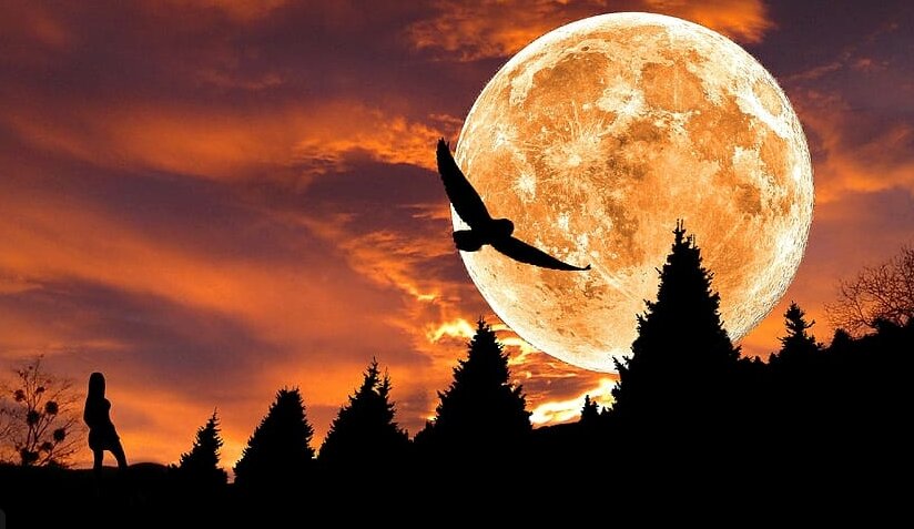 Стоковое изображение