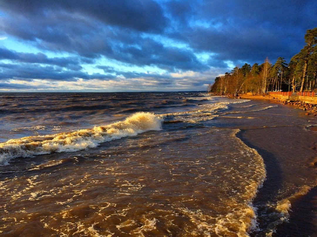 Балтийское море финский залив