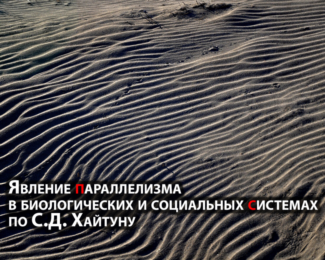 Источник фото https://pixabay.com/images/id-4134770/
