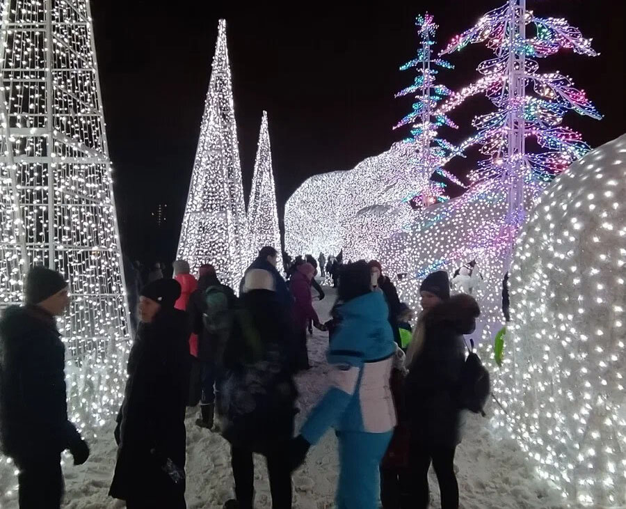 Волшебный зимний сад.