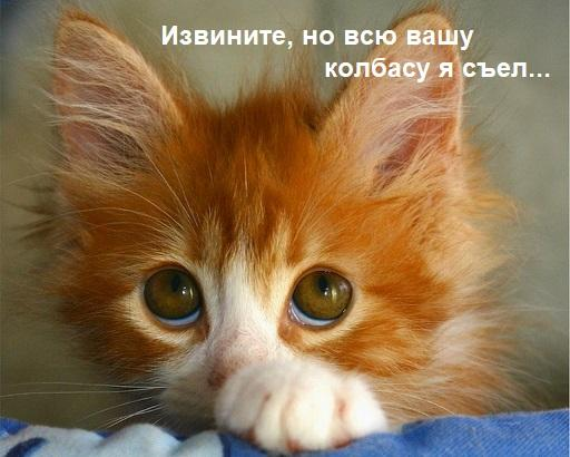 Источник: otvet.mail.ru