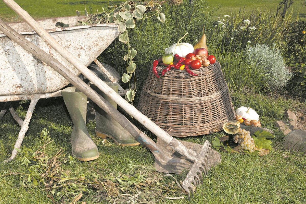 дачные работы. фотосессия в огороде. уборка огорода. школьники на огороде. много дел в огороде.