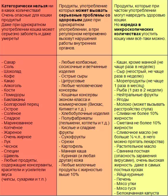 Перечень продуктов для кошки. Список еды для кошек. Список продуктов которые нельзя есть кошкам. Какие овощи можно давать ка там.