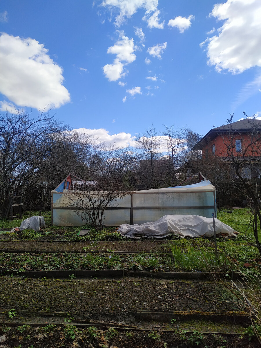 Накрылся наш парник медным тазом