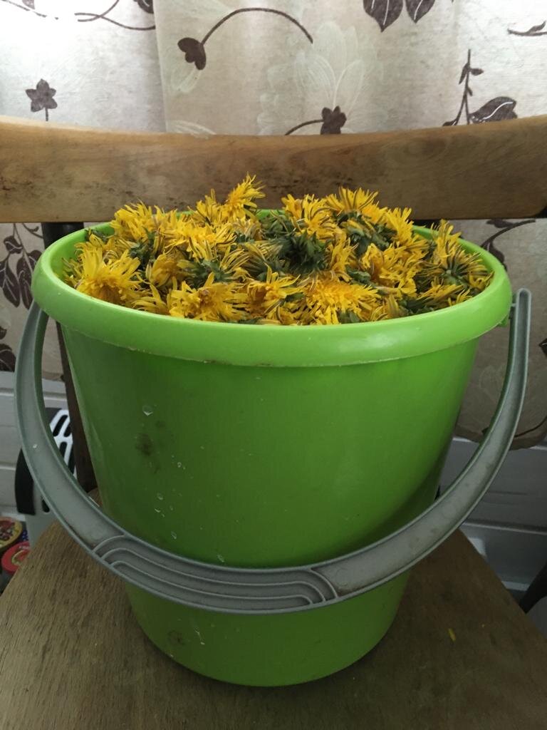 Ведро примерно 10л, а на фото всего около 3кг цветов, достаточно ощутимо примятых