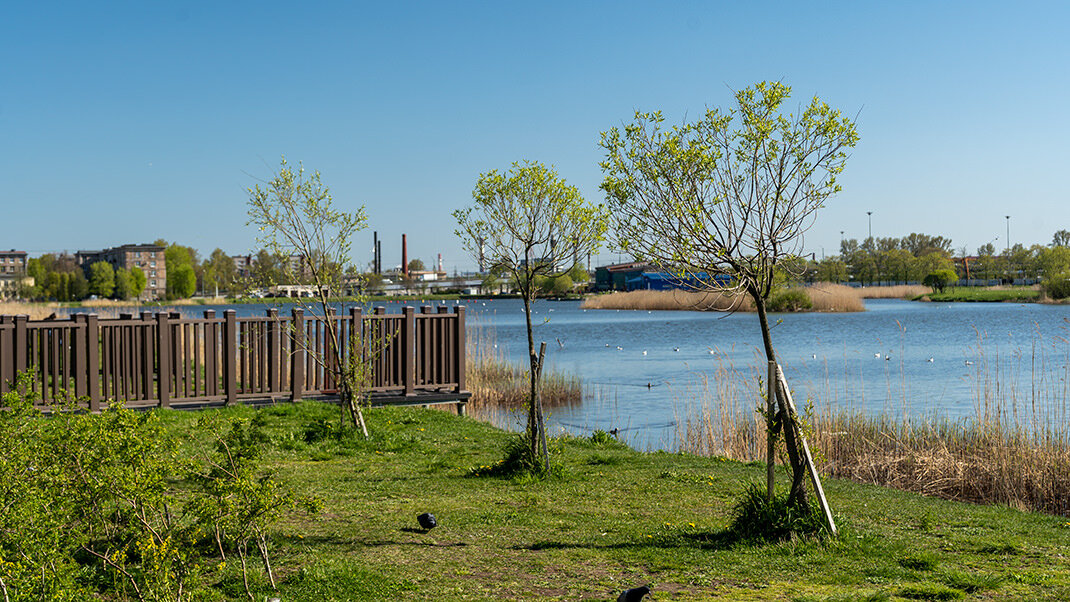 Фото ивановский карьер спб