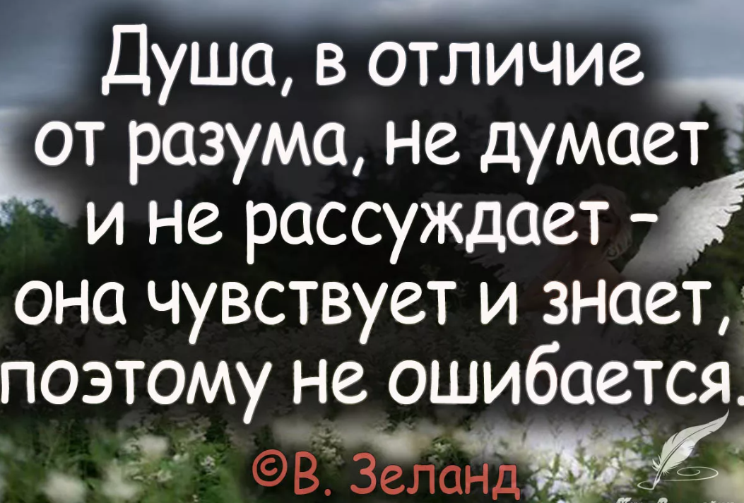 Душевная это какая. Афоризмы о душе. Цитаты про душу. Фразы о душе. Цитаты про человеческую душу.