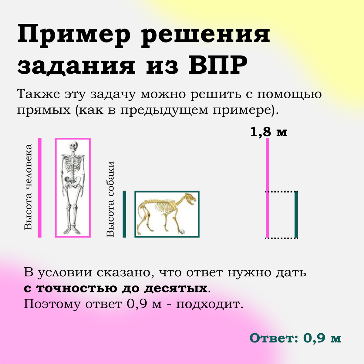 Задание 5. Оценка размеров реальных объектов. ВПР по математике. 6 класс |  EasyMath | Твой репетитор | Дзен