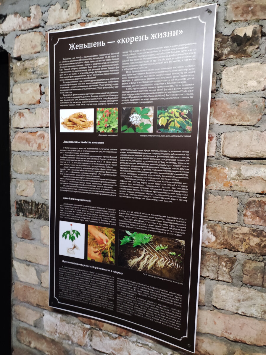 фото из Ботанического сада