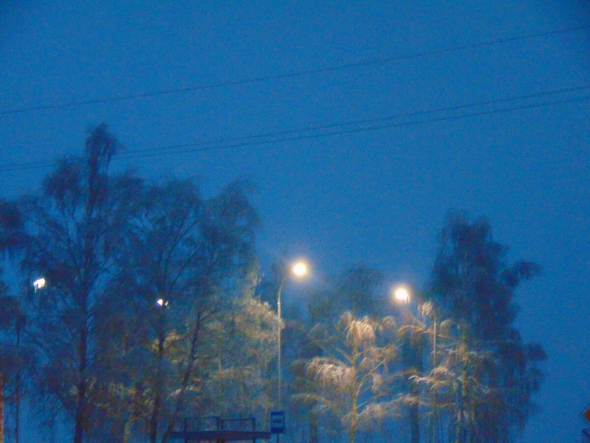 Фото автора канала