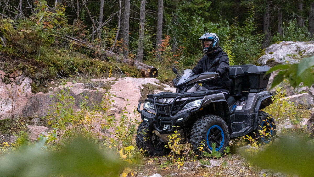 Что может быть лучше осеннего леса?