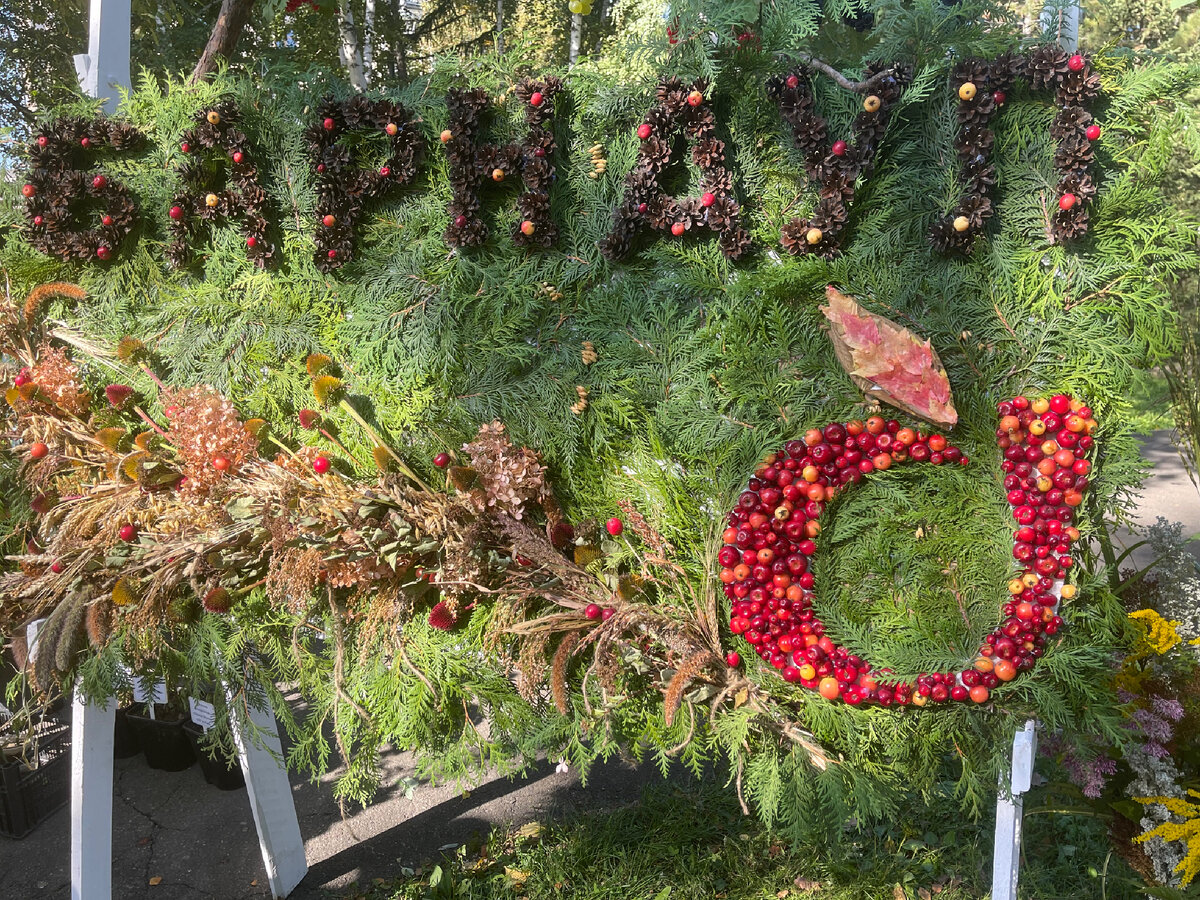 Выставка цветов 