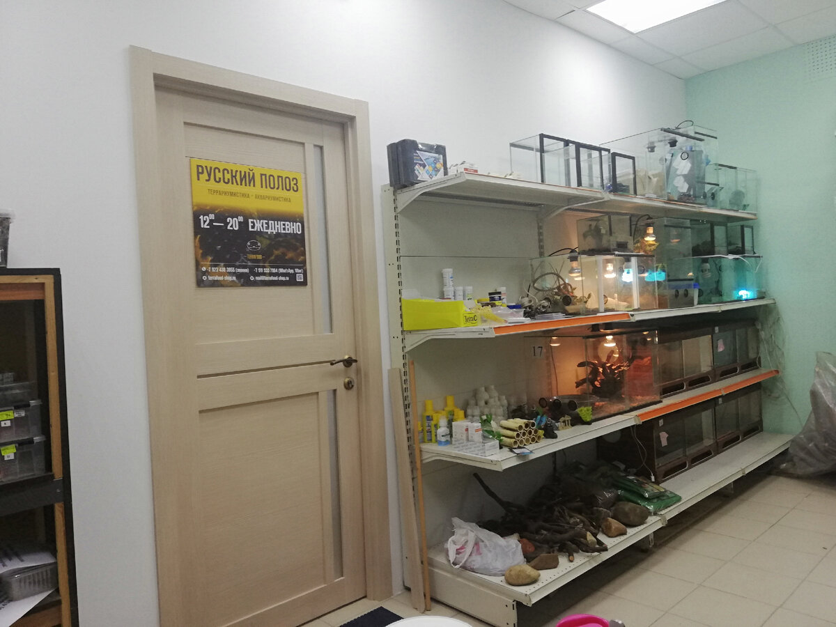 магазин, где я работаю