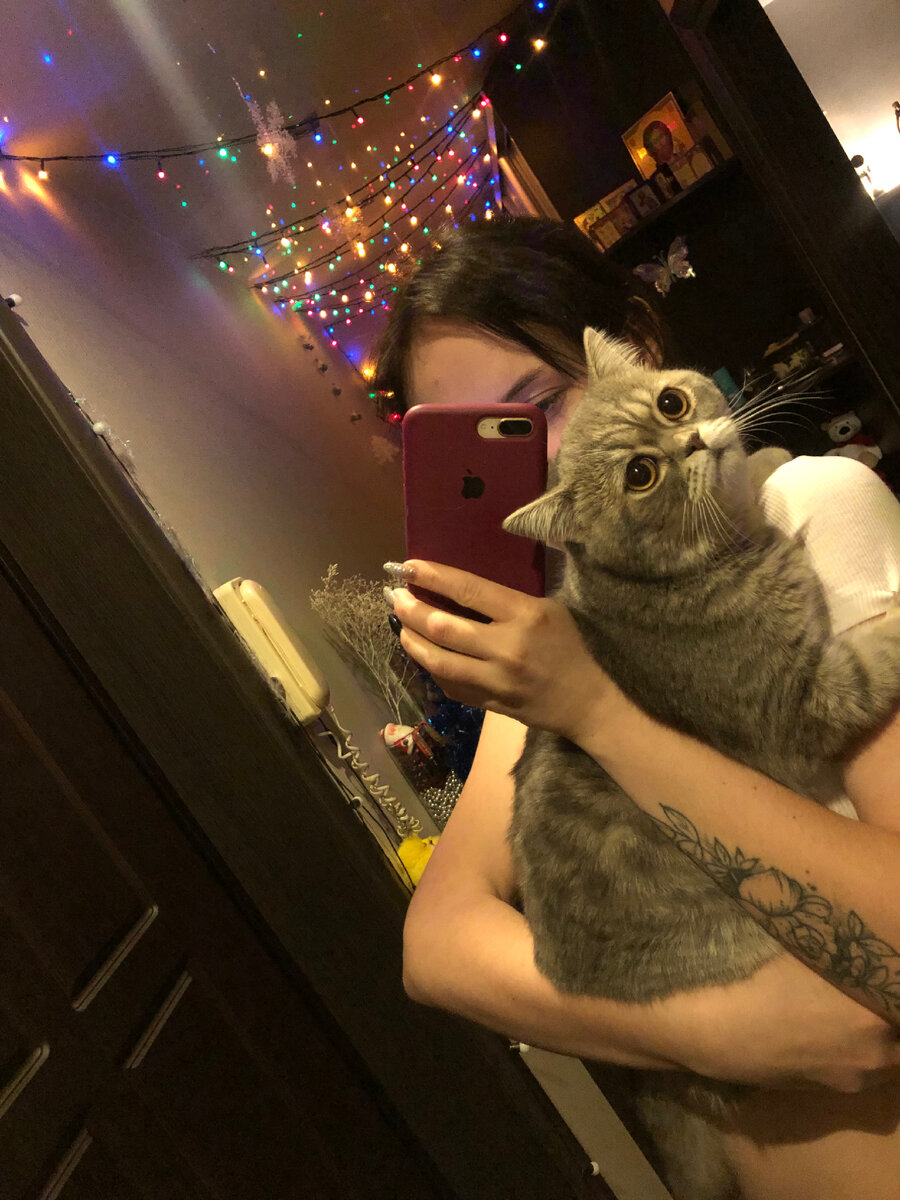 Мой кот Симба 🫶🏻