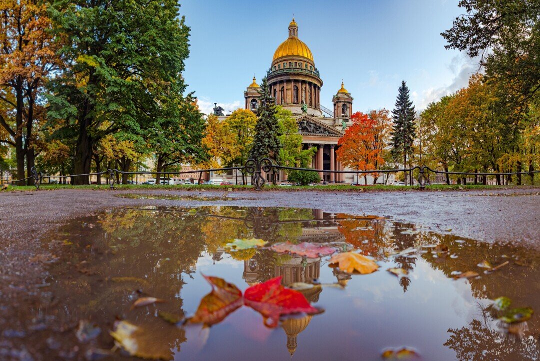    Фото: FOTOGRIN/shutterstock