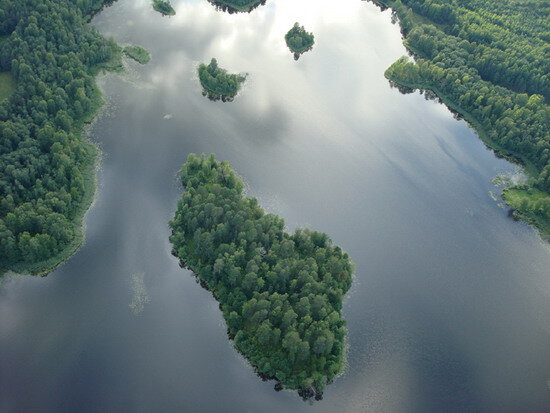 Оказывается, есть целый сайт, посвященный произведению и его автору