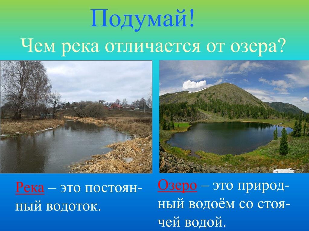 В ручьях и реках в озерах и океанах повсюду кипит жизнь схема