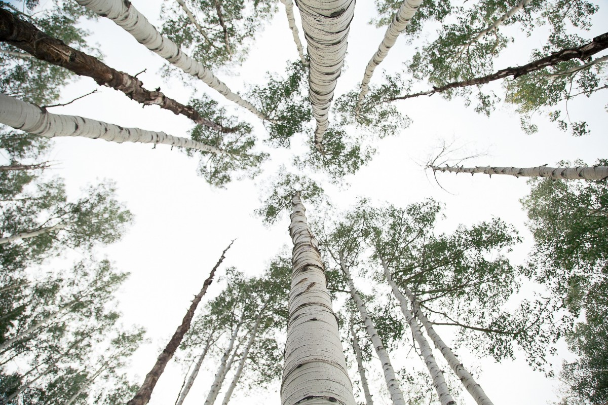 Источник фото: pxhere.com