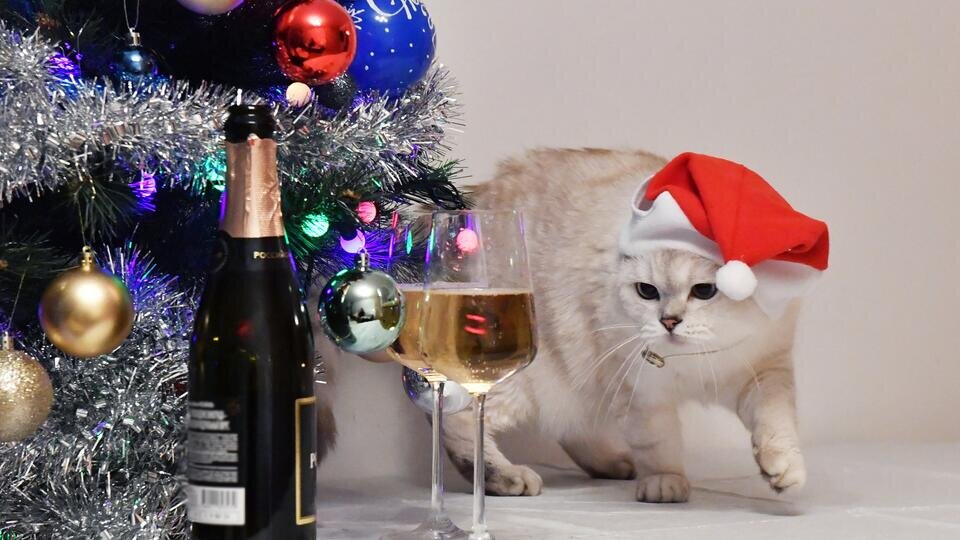 Фото: © РИА Новости/Наталья Селиверстова