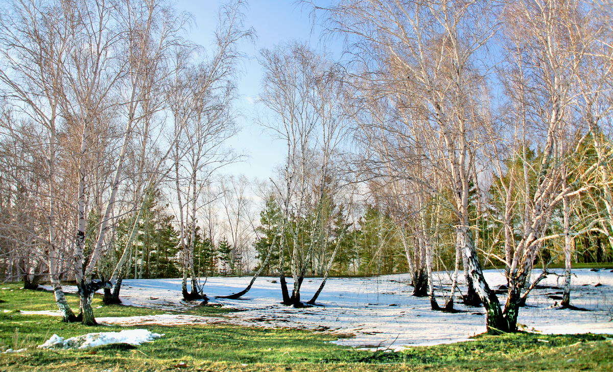 Фотография, стихотворение Василия Глуцкого