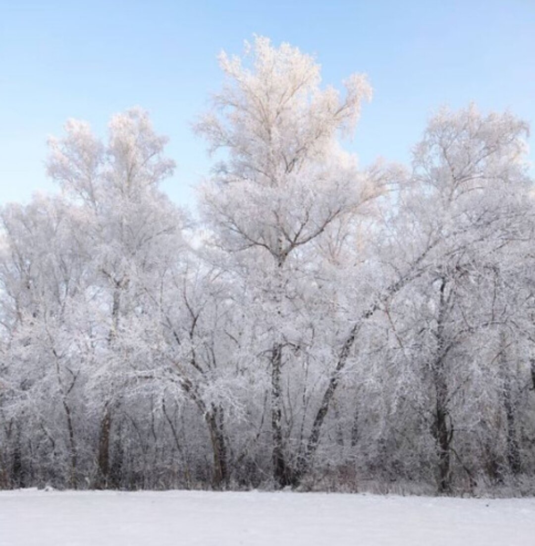 Личное фото автора