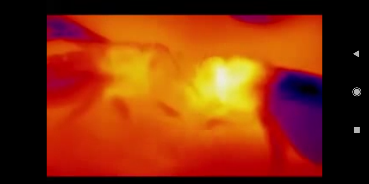 Пчела- грелка " заправляется" от пчелы- кормилицы 