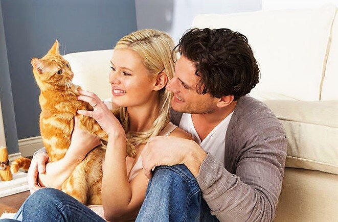 Фото из свободных источников