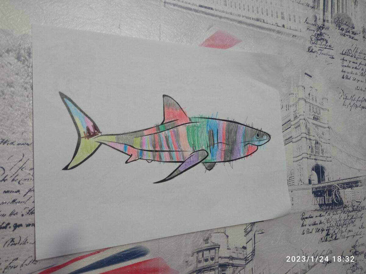 Радужная акула