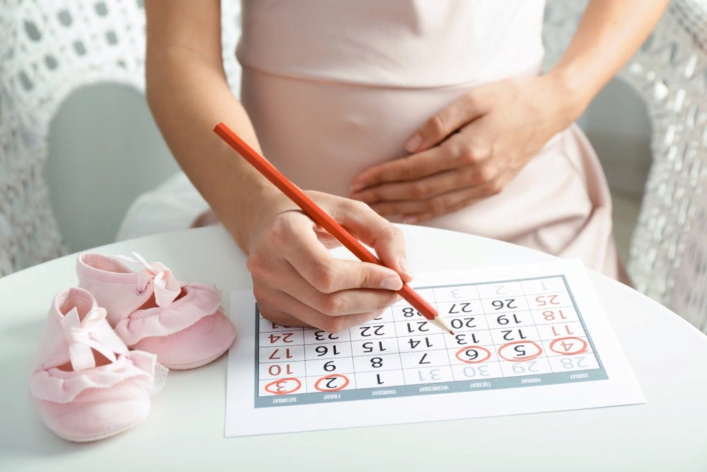 Калькулятор после беременности. Планирование беременности. Календарь беременности. Планируем беременность. Календарь для беременных женщин.