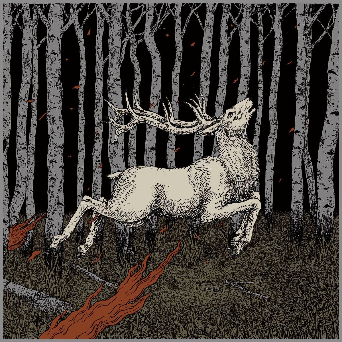 XV. Olhava — Ladoga (2020)