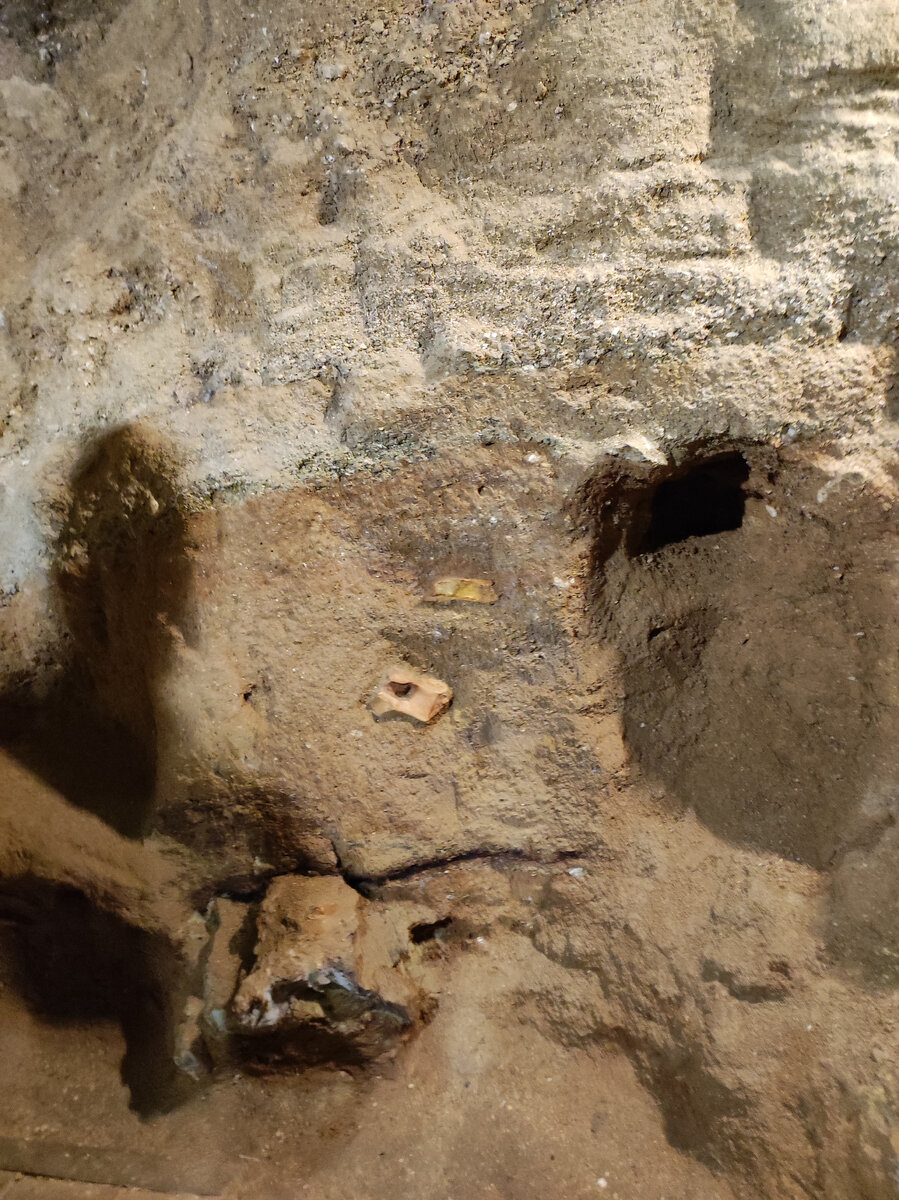 Кусочек стратиграфии. Косточки торчат из слоя