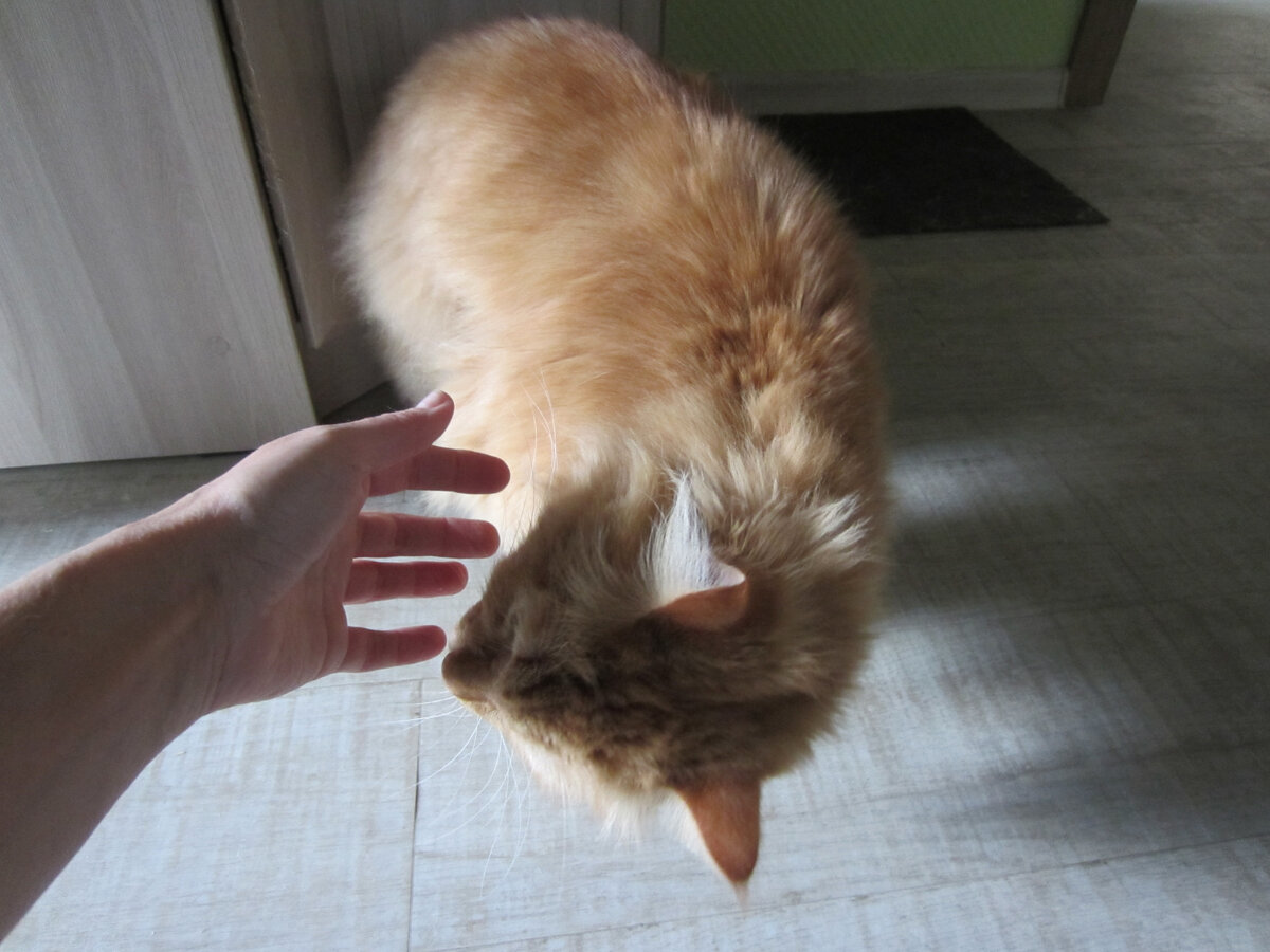 Сфоткать его сложно