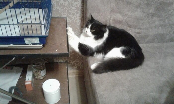 Листайте вправо, чтобы увидеть больше изображений