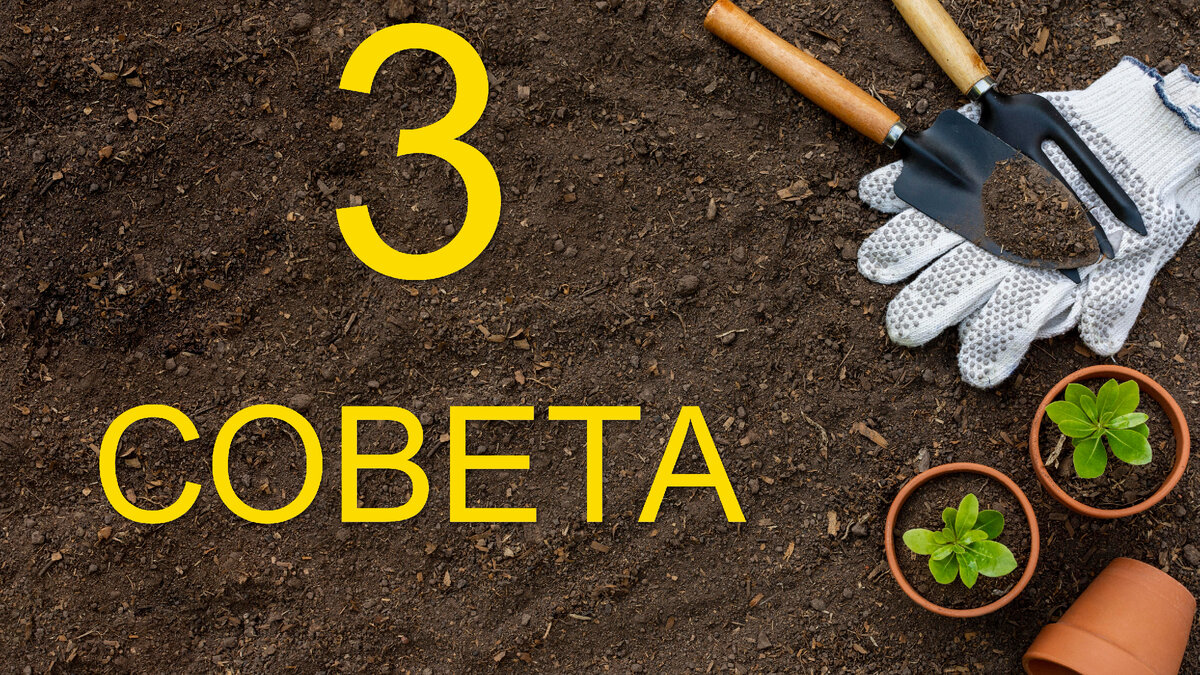 Фото взято из источника: ru.freepik.com - пользователь Freepik 