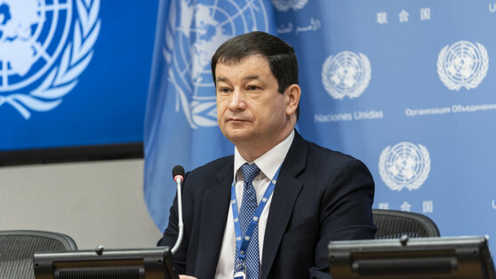    Постпред РФ при ООН заявил, что инцидент с беспилотником был намеренной провокацией США Ирина Петрова