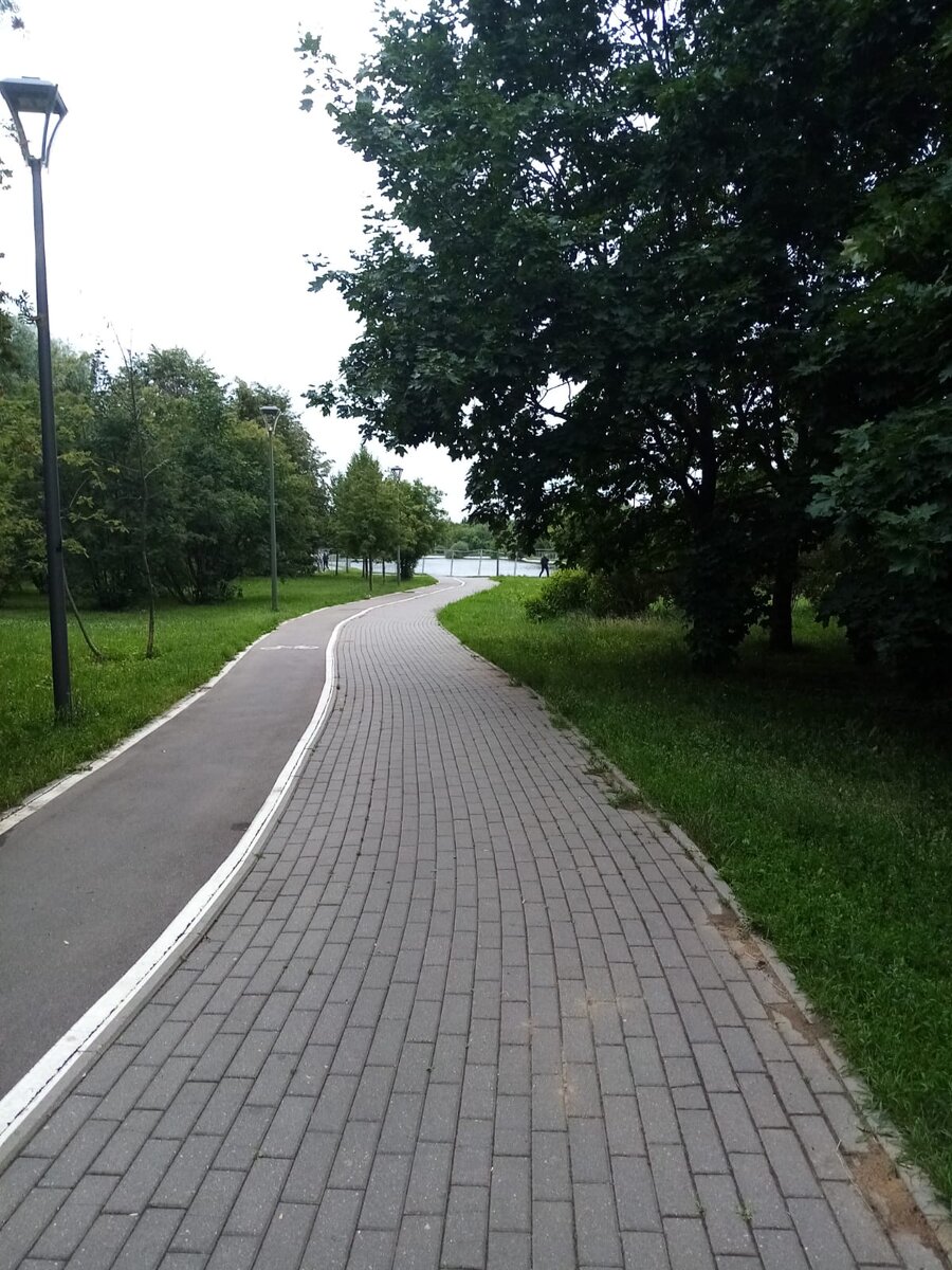 Дорожки в парке