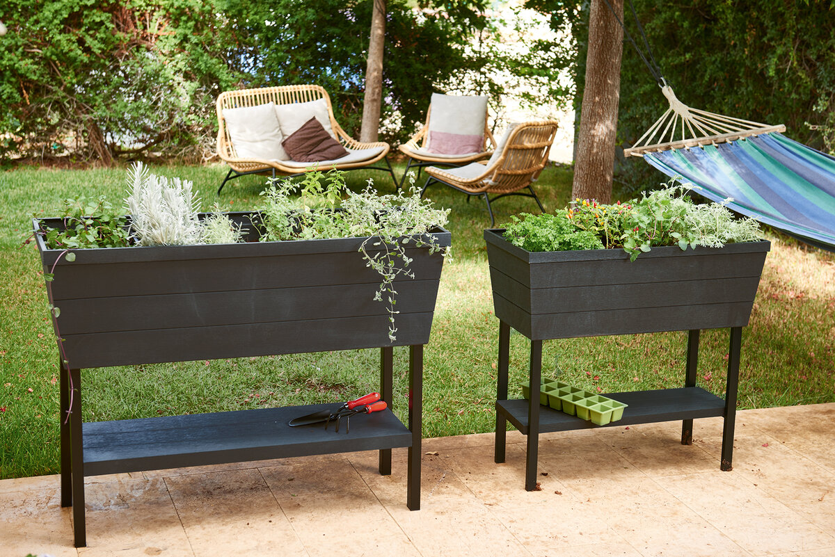 Создание ароматных бордюров с пряными травами