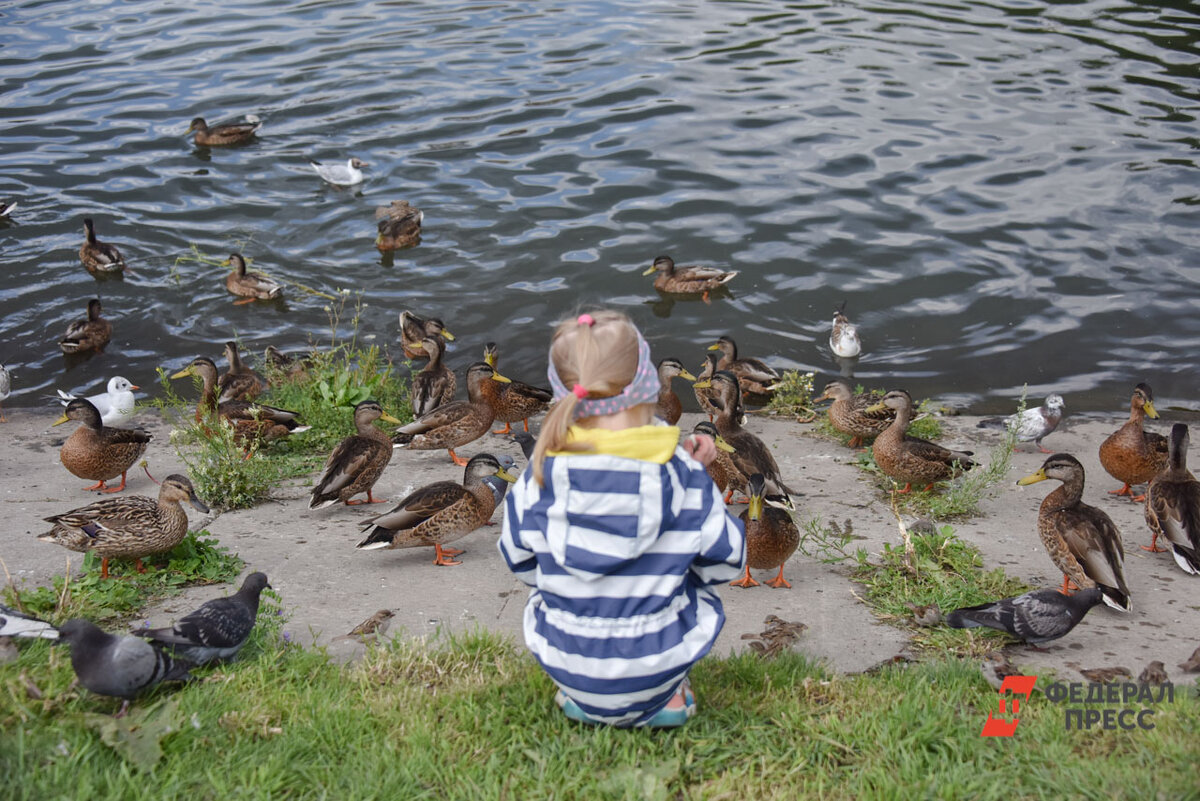По статистике, до 90 % детей находят, в 80 % случаев их возвращают родителям живыми.  Фото: Полина Зиновьева