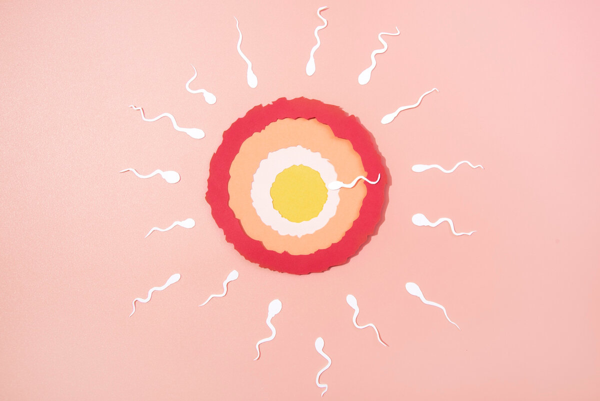 как отличить мужскую сперму от женской фото 51